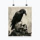 Poster - Raven
